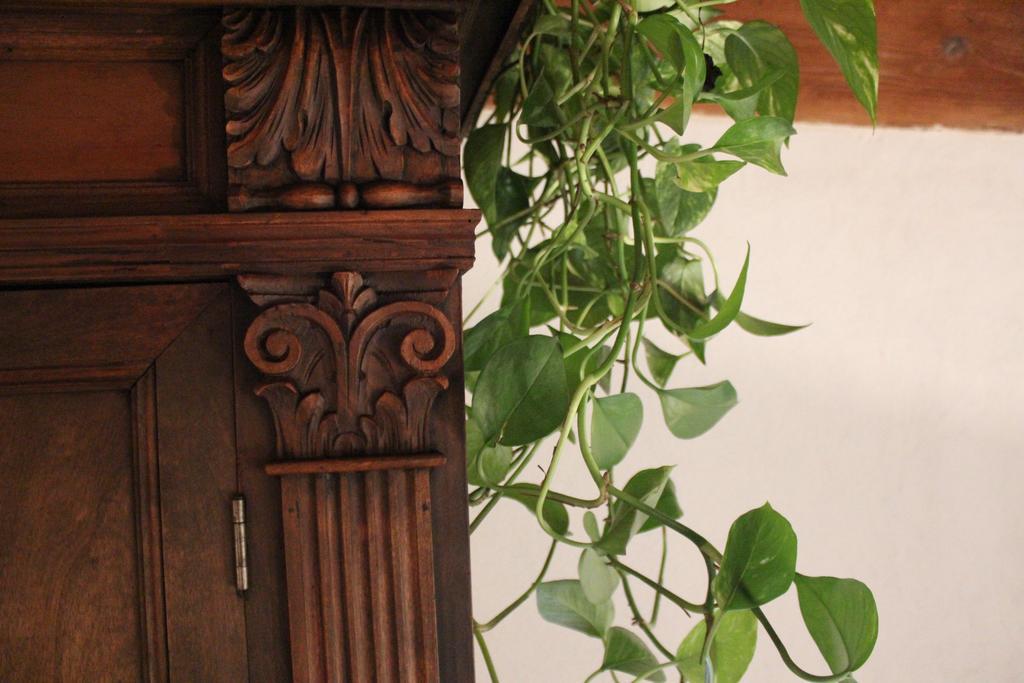 Florence Pitti Loft Kültér fotó
